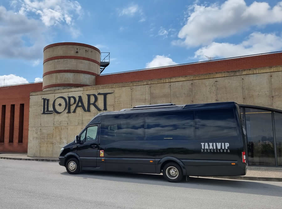 Visitas turísticas personalizadas con vehículos de alta gama y chóferes profesionales, ofreciendo una experiencia exclusiva, cómoda y adaptada a sus intereses.
